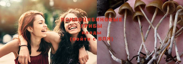 винт Арсеньев