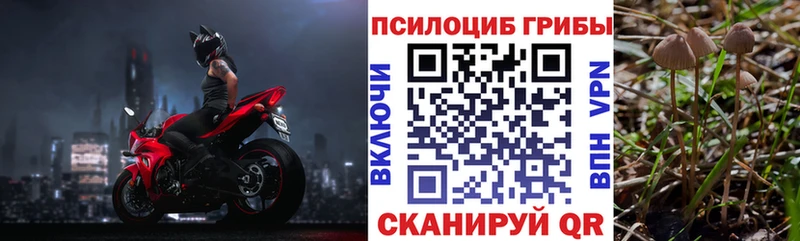 Галлюциногенные грибы Psilocybine cubensis  закладки  Радужный 