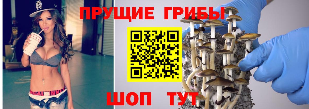 где продают   Вход с VPN  Радужный  Псилоцибиновые грибы MAGIC MUSHROOMS 